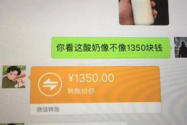 博罗企业清欠服务